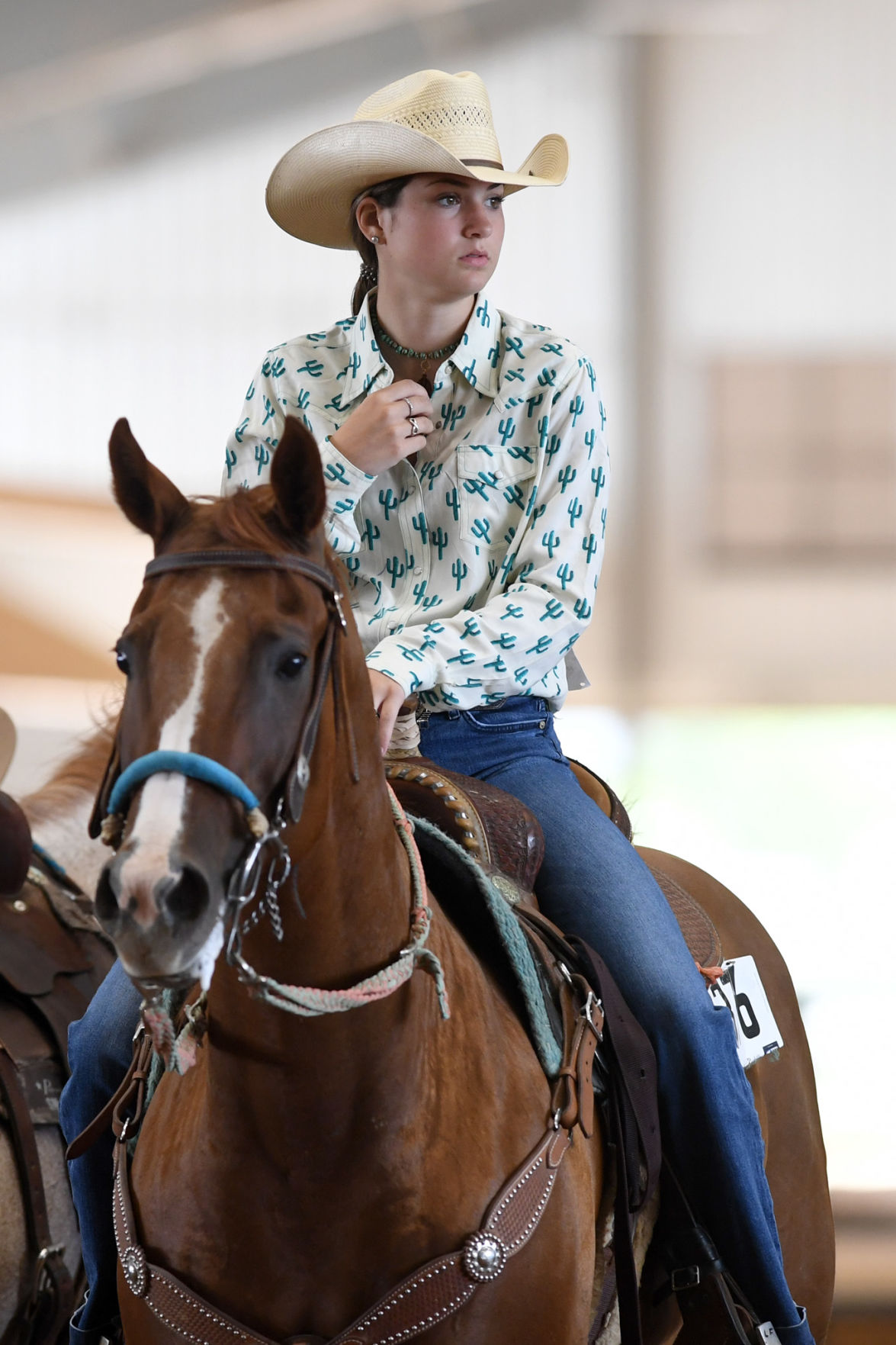 Texas State 4-H Horse Show